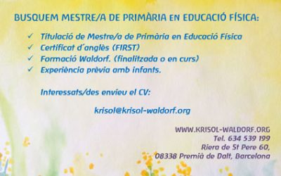 Busquem mestre/a de primària en Educació Física